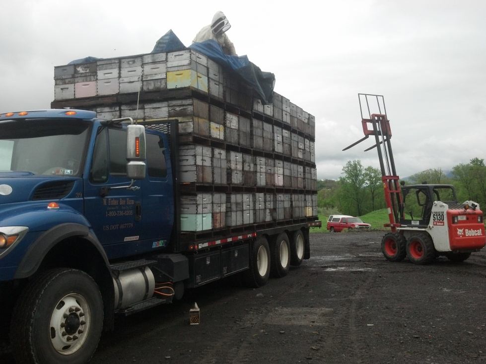 Migratory Beekeepers on the move again.